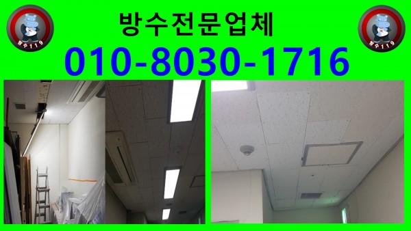 20251210212438_8e261062.jpg